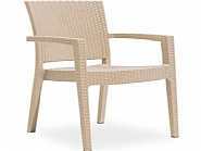 PARİS RATTAN KOLTUK